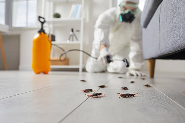 Commercial Kitchen Cockroach Control in Hopkinsville